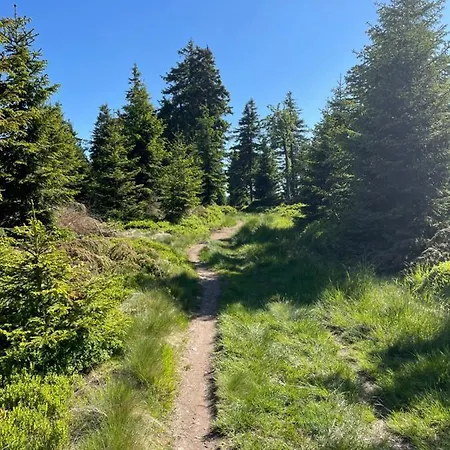 Semesterbostad Vapenna *