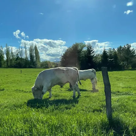 Vapenna Semesterbostad Jeseník