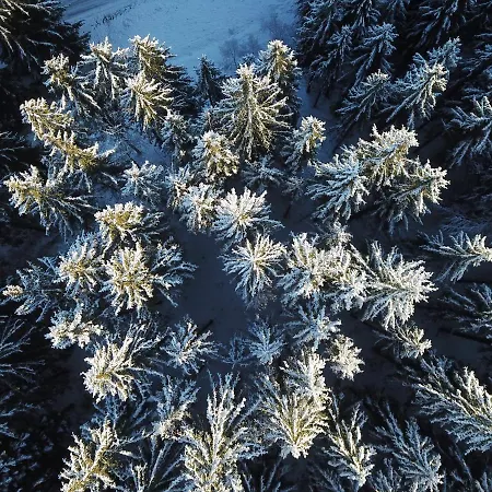 Vapenna Semesterbostad *