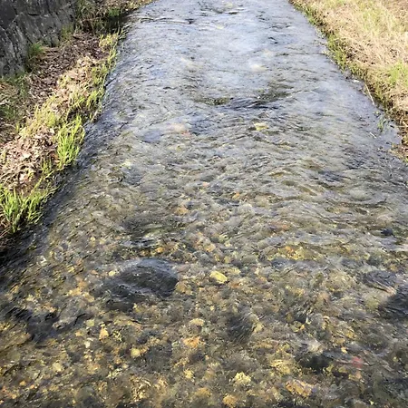 Vapenna Semesterbostad